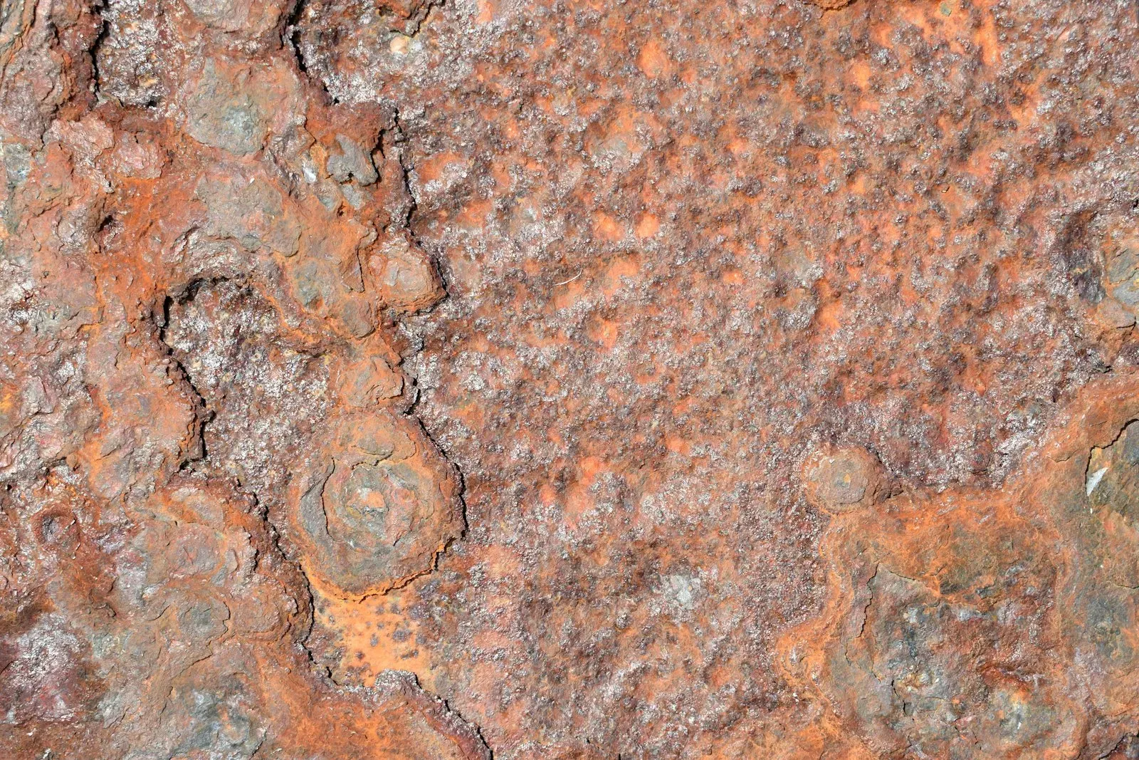 Corrosion testing equipment and material samples